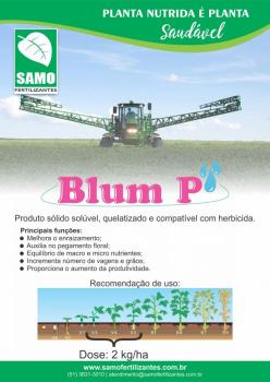Blum-P